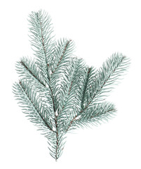 Branch of artificial fir tree isolated on white. Christmas decor