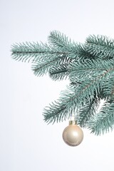 Christmas tree branch with decorative ball on white background