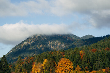 View of the Alps in Autumn