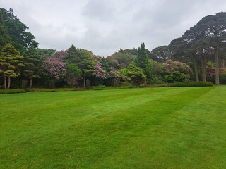mountain landscape in the summer
