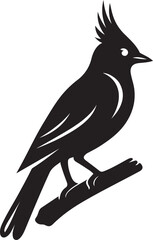 Fototapeta premium Black silhouette of a bird with a crest perched on a branch, Exotic bird silhouette design for tropical art