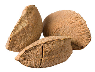 In-sell Brazil nut isolated on the white background.