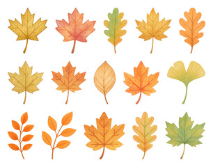 Obraz premium PNG Colorful autumn leaves illustration, element set on transparent background