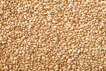 Food background of roasted sesame, top view.