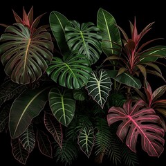 Lush Tropical Foliage Array for an Aesthetic Background, Featuring Diverse Green and Pink Exotic Leaves Against a Dark Canvas, Evoking Botanical Beauty