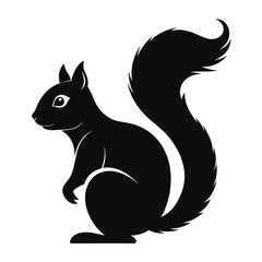 black and white cat and squirrel vector illustration