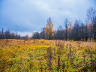 autumn landscape sky clouds grass trees