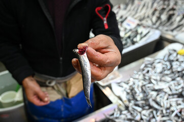 A market trader shows fresh fish. A fisherman sells anchovy fish. The seller shows the gills of the fish to prove the freshness of the fish.