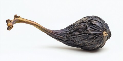 Obraz premium A dried fig rests on a white surface. The fig is dark purple and wrinkled, with a long, curved stem. The skin is leathery and textured, displaying deep fissures and folds