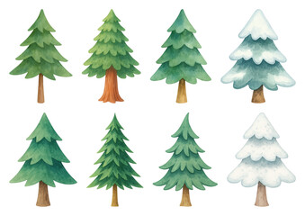 Obraz premium PNG Watercolor evergreen trees illustration, element set on transparent background