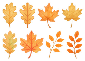 PNG Autumn leaves illustration collection, element set on transparent background