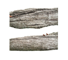 Two pieces of weathered tree bark isolated on transparent background