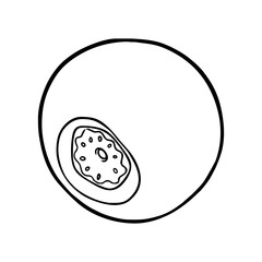 FRUIT LINEART VECTOR ILLUSTRATION blueberry