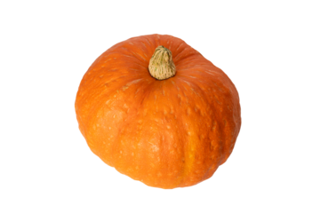 Vibrant orange pumpkin on black background for autumn harvest