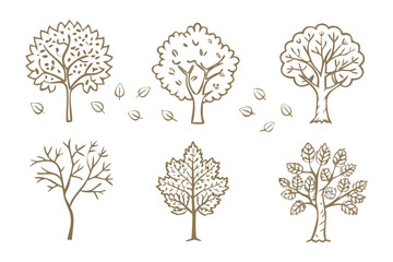 Trees sketch set: This charming illustration shows different tree with various leaf types and branches, creating a harmonious and aesthetically pleasing composition.