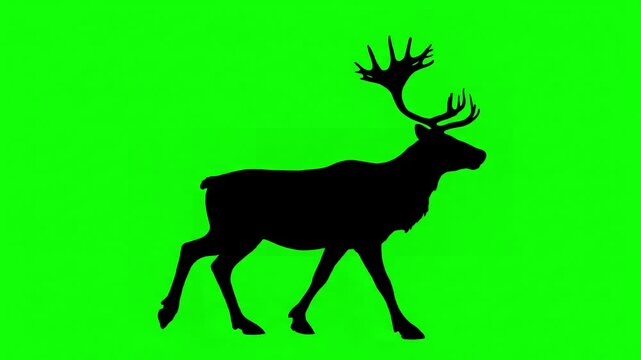 Motion Graphic Resource with reindeer walking forward on a green screen silhouette of deer chroma key seamless isolated loop animation distortion, overlay, glitch, static noise, scan lines black