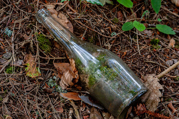 Flasche, Glasflasche auf dem Waldboden - M&uuml;ll in der Natur