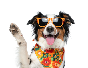 A smiling canine with sunglasses and a floral bandana, waving hello