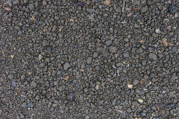 Close-up View of Wet Garden Soil Mixed with Small Gravel, Showing Natural Texture and Earthy Surface Detail. Suitable for Agriculture, Gardening, and Natural Texture Backgrounds.