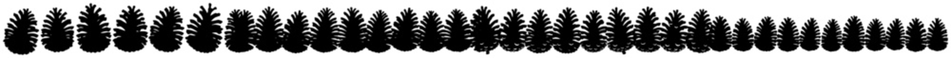 Pine cones seamless border vector – rustic forest nature divider for winter and Christmas designs