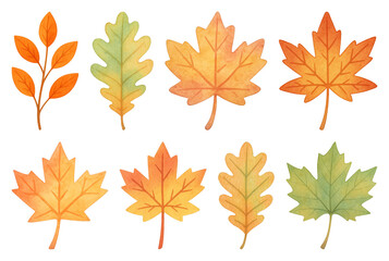 Fototapeta premium PNG Colorful autumn leaves illustration, element set on transparent background