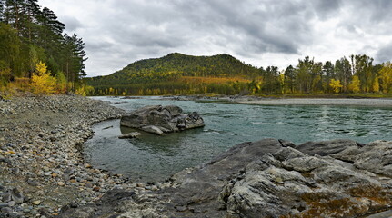 Fototapeta premium Russia. The South of Western Siberia, the Altai Mountains. Picturesque view of the rocky shore of the Katun River in autumn colors near the village of Manzherok.