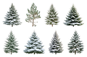 Obraz premium PNG Snow-covered evergreen trees collection, element set on transparent background