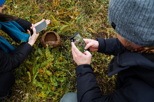 team documenting mushroom species on mossy ground using phones for casual research and sharing