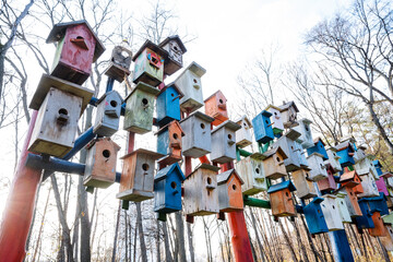 colorful birdhouses showcased, brightly colored handcrafted birdhouses set against winter woodland