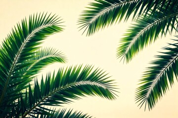 Fototapeta premium PalmLeavesGreenBackground