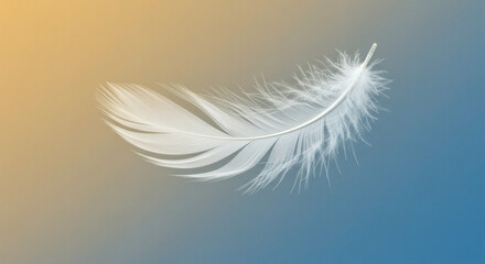 Delicate white feather gracefully floating, symbolizing lightness, freedom, and gentle movement