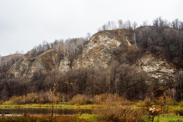 textured cliff with winter trees, cracked limestone and exposed layers create rugged scenery, bare...
