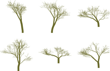 Six bare tree silhouettes with olive green branches on white background vector