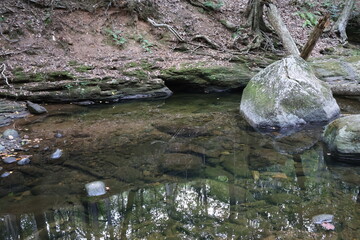 A clear water pool sitting at the bottom of a small cascade in a brook.
