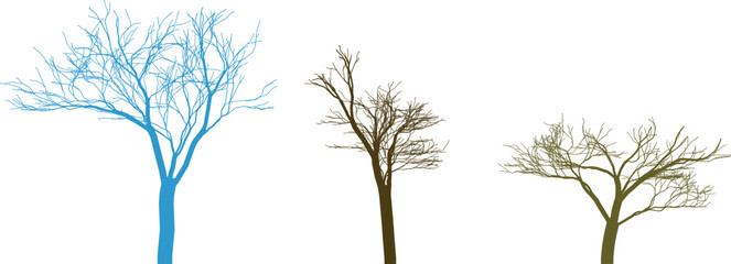 Three bare trees in blue brown and green isolated on white blue tree brown tree