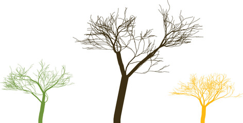 Three abstract trees silhouettes in green brown and yellow vector