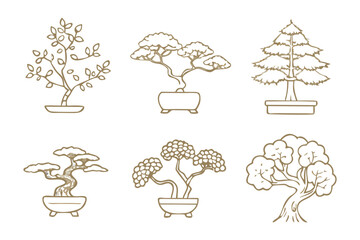 Zen Garden Collection: Showcasing a harmonious assortment of meticulously cultivated bonsai trees, offering a glimpse into the serene world of traditional Japanese horticulture.
