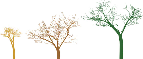 Three stylized trees showing growth stages yellow brown and green vector