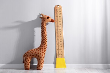 Height measuring chart on light grey wall and toy giraffe indoors
