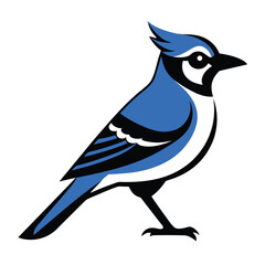 Stylized blue jay bird illustration on white backgroundmmmmmmmmmmmmmmmmmmmmmmmmmmmmmmmmmmmmmm