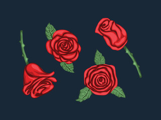 rose love anniversary gift romance element bloom wedding template plant floral background petal red