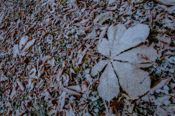 Autumn in the city park. Beautiful fall landscape in the city park.