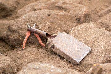 An archaeologist's trowel and pruning shears at an excavation site The Delicate Tools of Discovery