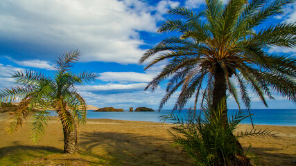 The palm oasis of Vai in Crete, Greece