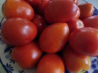 The collection includes tomatoes ranging from bright, ripe red to slightly orange, indicating varying stages of ripeness. This image is perfect for illustrating themes of healthy eating, gardening,
