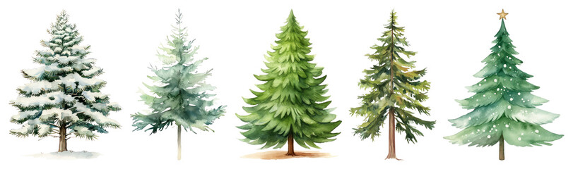 PNG Five illustrated festive Christmas trees, element set on transparent background