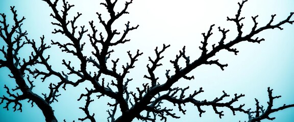 Obraz premium Intricate black coral branches, dark against a light background, wildlife, coral reef
