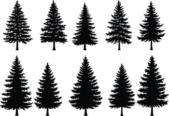 Conifer tree silhouette vector illustration, evergreen forest artwork, pine nature design, botanical woodland graphic, outdoor landscape element, cad drawing flat vector illustration