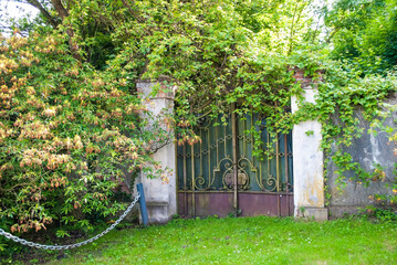 Decorative old iron gates are attached to stone fence posts. Green trees and shrubs grow on both sides of the gates.