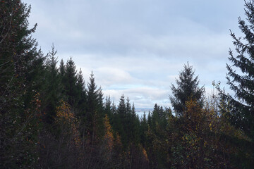 Landscape by the Sulustaddalen Valley, Toten, Norway, October 2025.